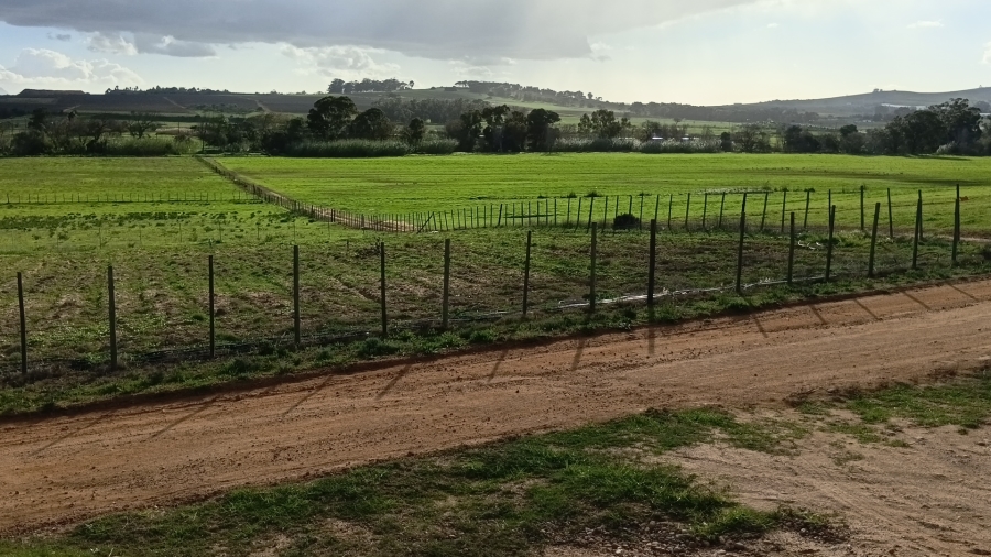 5 Bedroom Property for Sale in Stellenbosch Farms Western Cape